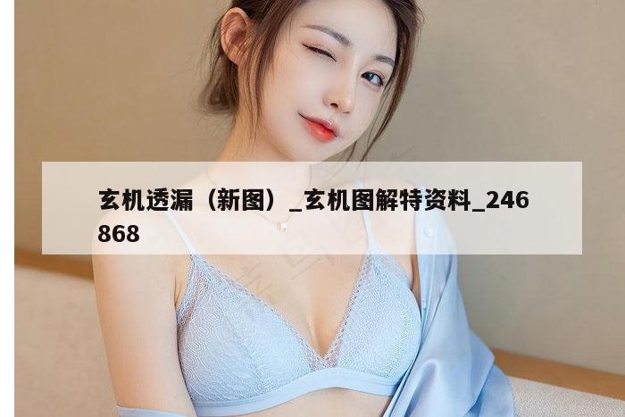 玄机透漏（新图）_玄机图解特资料_246868